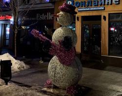 Светящийся снеговик на проспекте Столыпина ударил ребенка током