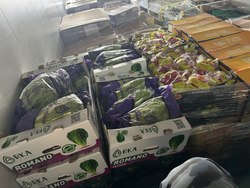 На границе задержаны почти три тонны фруктов и овощей