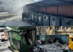 С начала года в области сгорело более 170 мусорных бачков