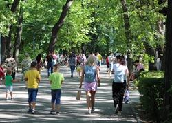 Городской парк Саратова признан лучшим в России