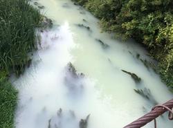 Авария на маслозаводе окрасила реку в молочный цвет