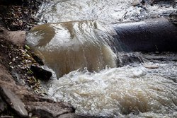 Предприятие уличили в загрязнении почвы сточными водами