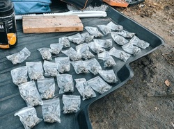 За 10 месяцев в области изъяли 113 кг запрещенных веществ