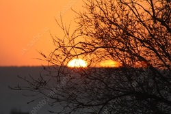 Среда будет солнечной и прохладной