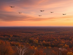 Над областью сбили ещё 2 беспилотника