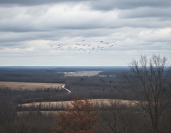 Ночью над регионом уничтожили 15 беспилотников