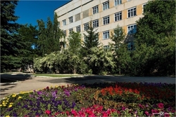 У многодетной матери родился двенадцатый ребёнок