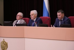 За счёт поправок в местный закон о патенте планируется получить за год 175 млн