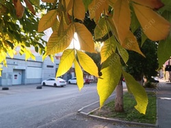 Сегодня будет облачно с прояснениями