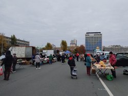 На Театральной площади возобновляется торговля рыбой, мясом и молоком