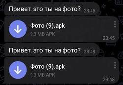 Горожанка открыла неизвестный файл и лишилась денег