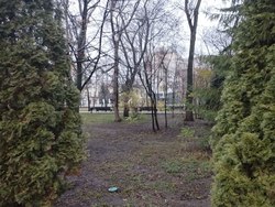 В Саратове сегодня будет тепло