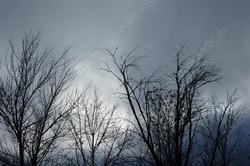 Ожидается пасмурный и тёплый день