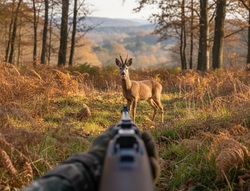 С браконьера взыскали 200 тысяч за убийство косули