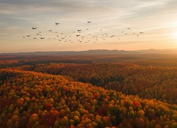 На подлёте к области сбили 24 дрона
