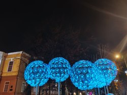 В Саратове задерживается ноябрьская погода