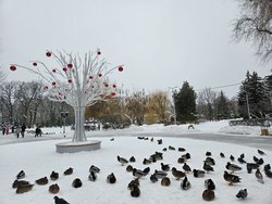 Воскресенье в Саратове будет снежным