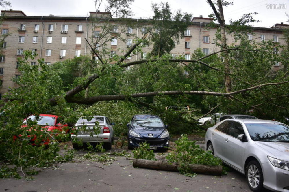 Последствия урагана в России