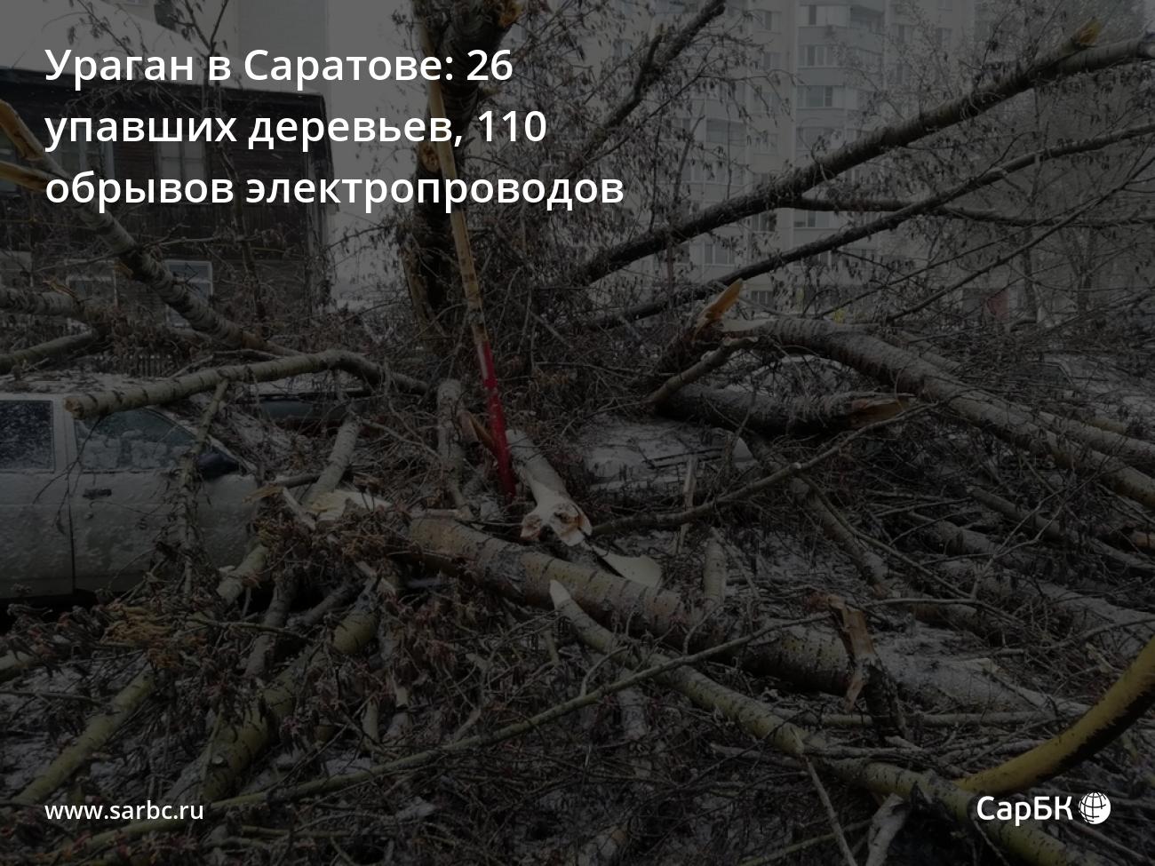 Ураган в Саратове: 26 упавших деревьев, 110 обрывов электропроводов