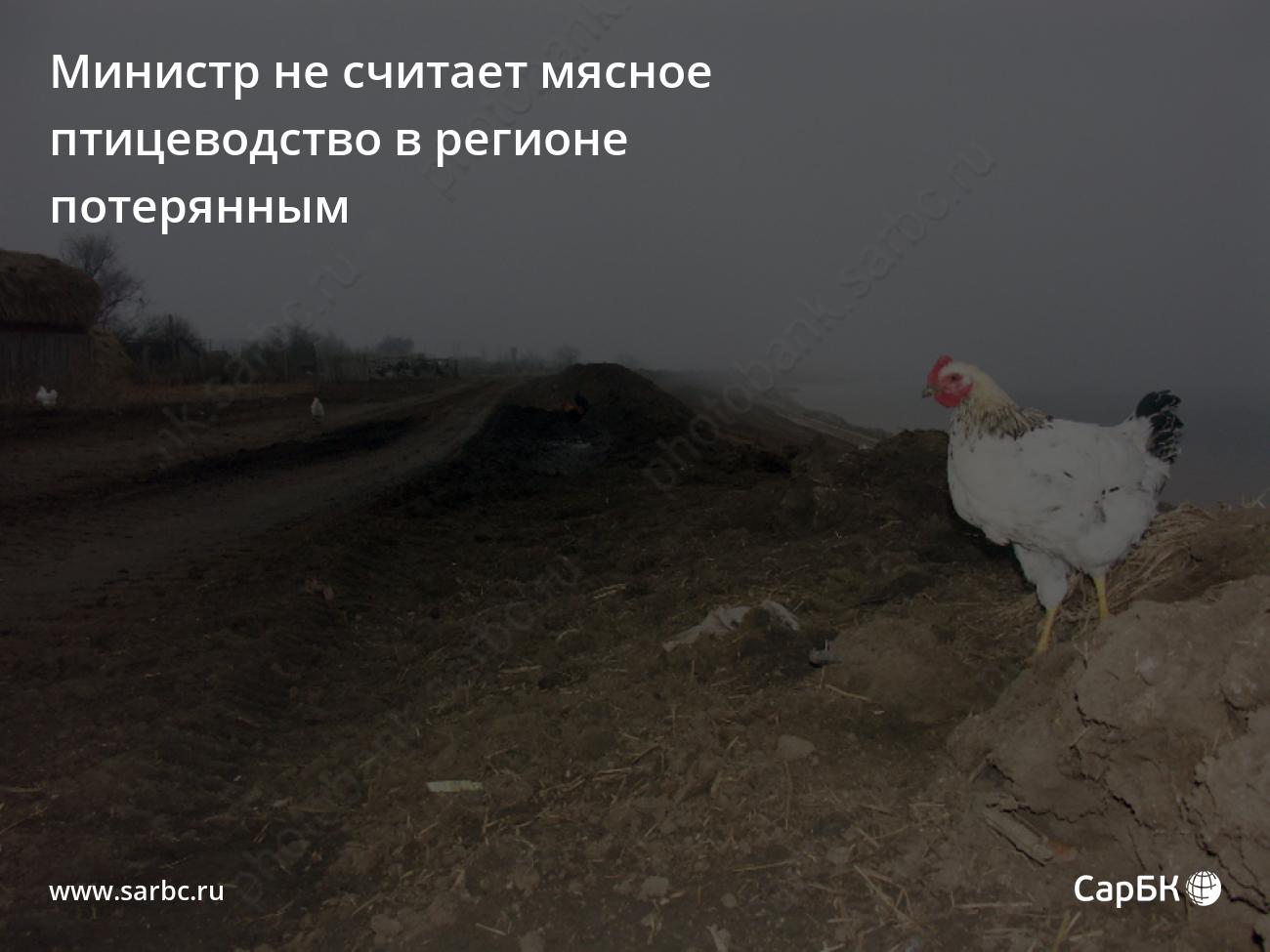 В минсельхозе не считают саратовское мясное птицеводство потерянным