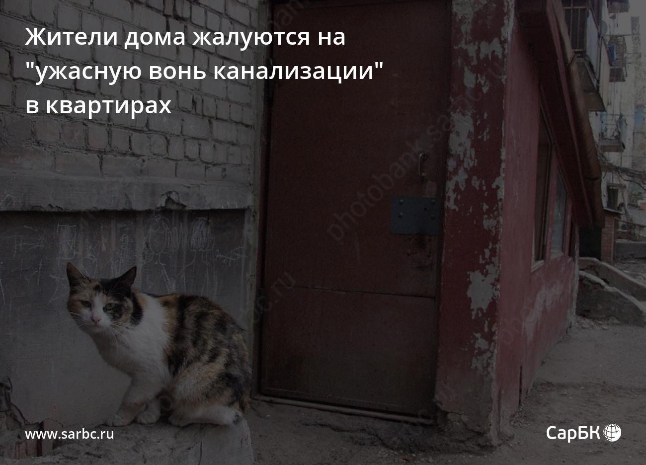 В Саратове жители дома жалуются на "ужасную вонь канализации"