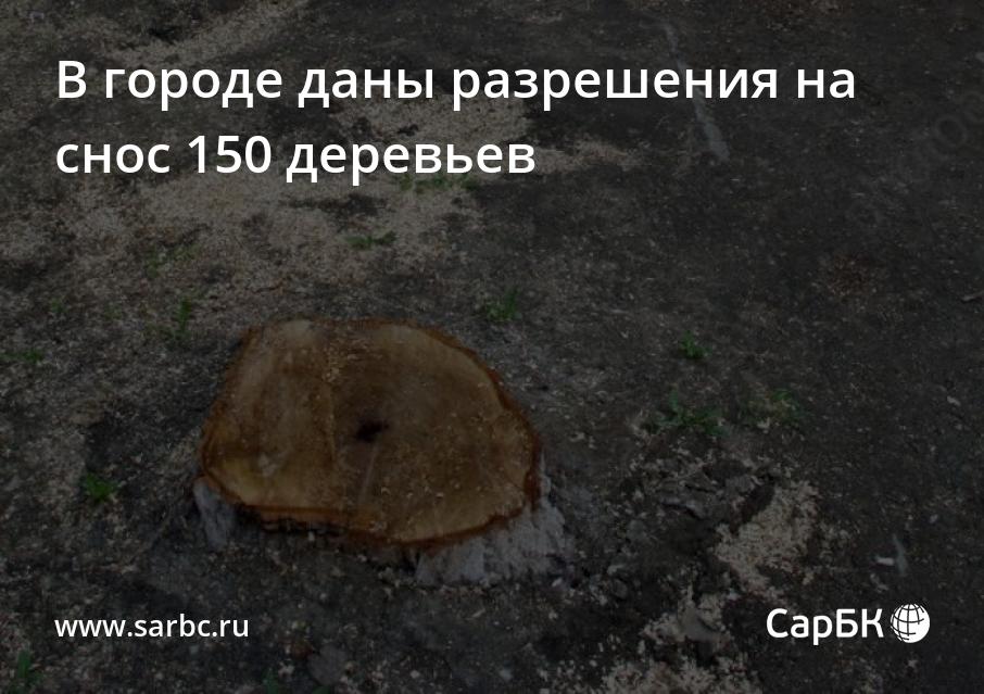 В Саратове даны разрешения на снос 150 деревьев