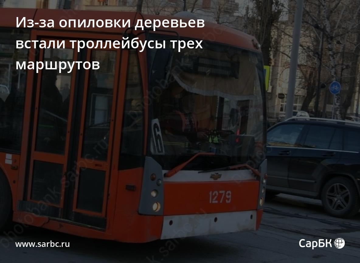 Из-за опиловки деревьев в Саратове встали троллейбусы трех маршрутов