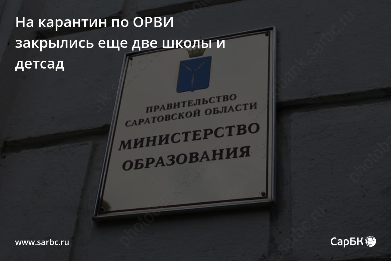 В Саратовской области по ОРВИ закрылись еще две школы и детсад