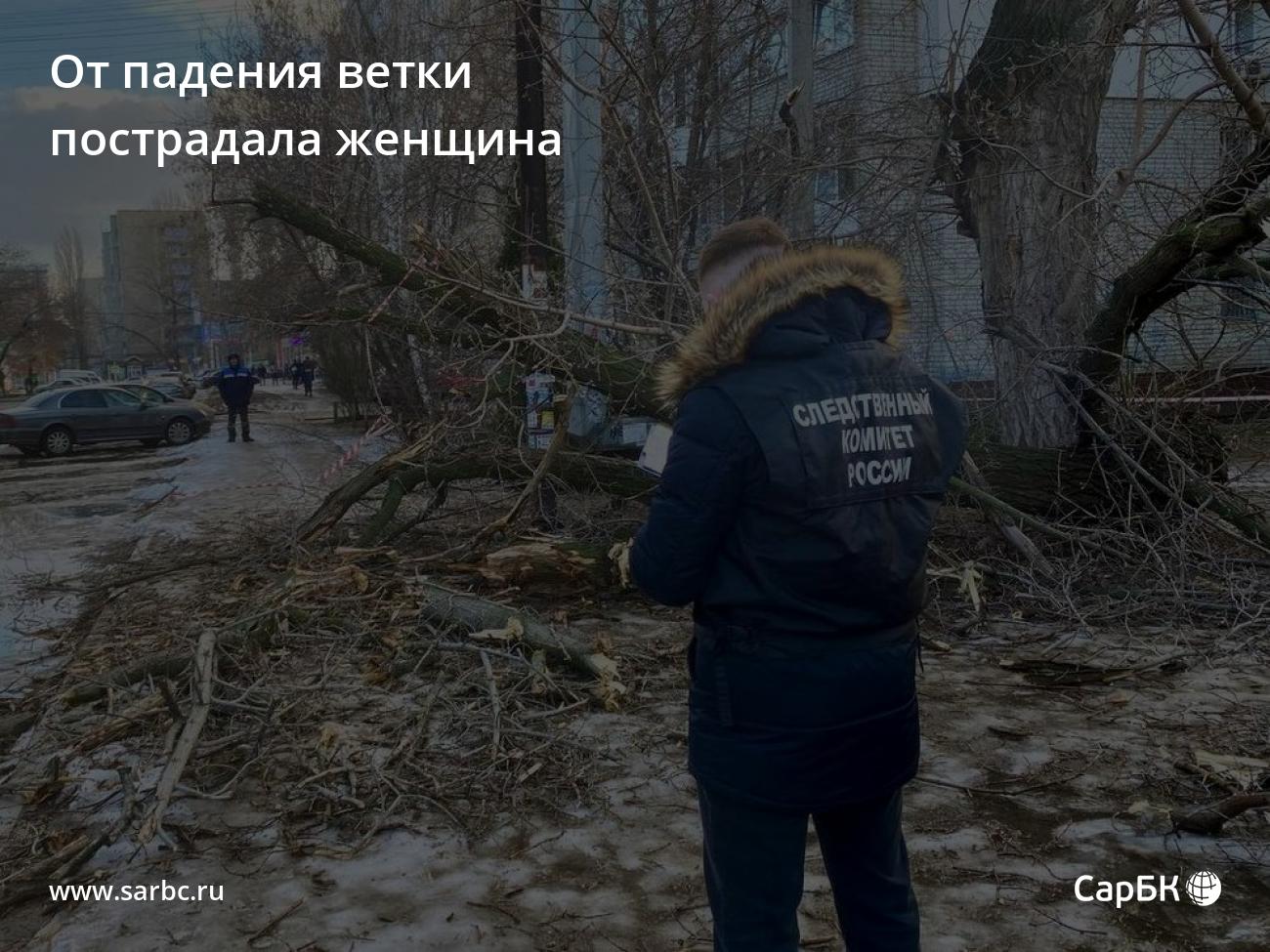 В Энгельсе от падения ветки пострадалаженщина