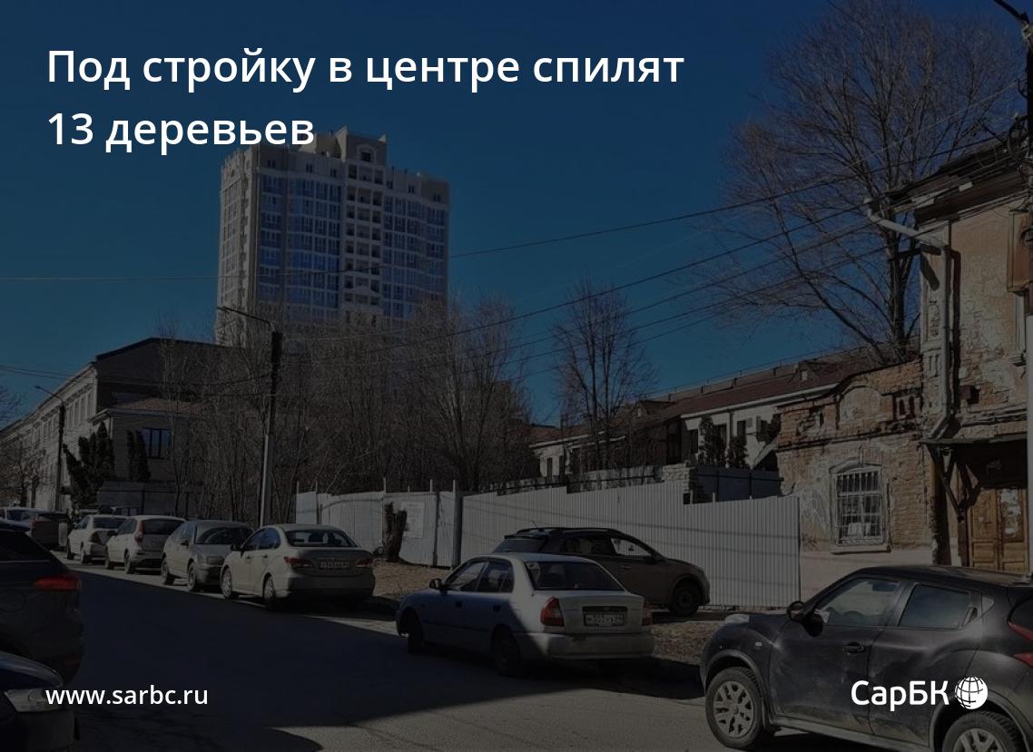 Под стройку в центре Саратова спилят 13 деревьев