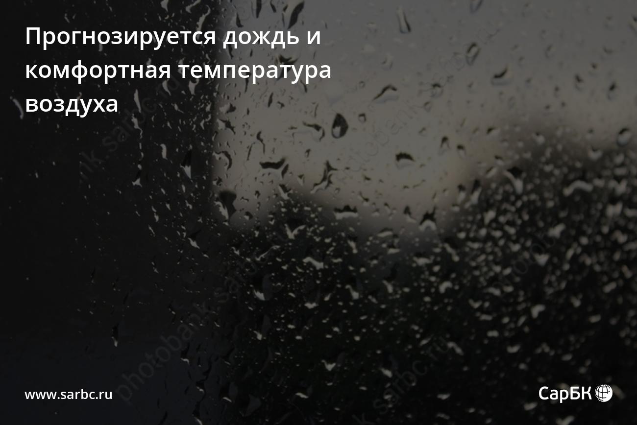 В Саратовской области прогнозируется дождь и комфортная температура воздуха