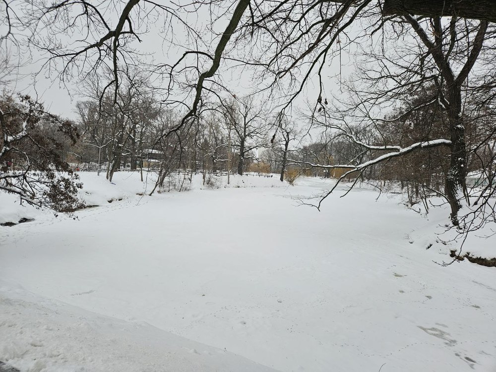 Прогронозируются снег и временное потепление