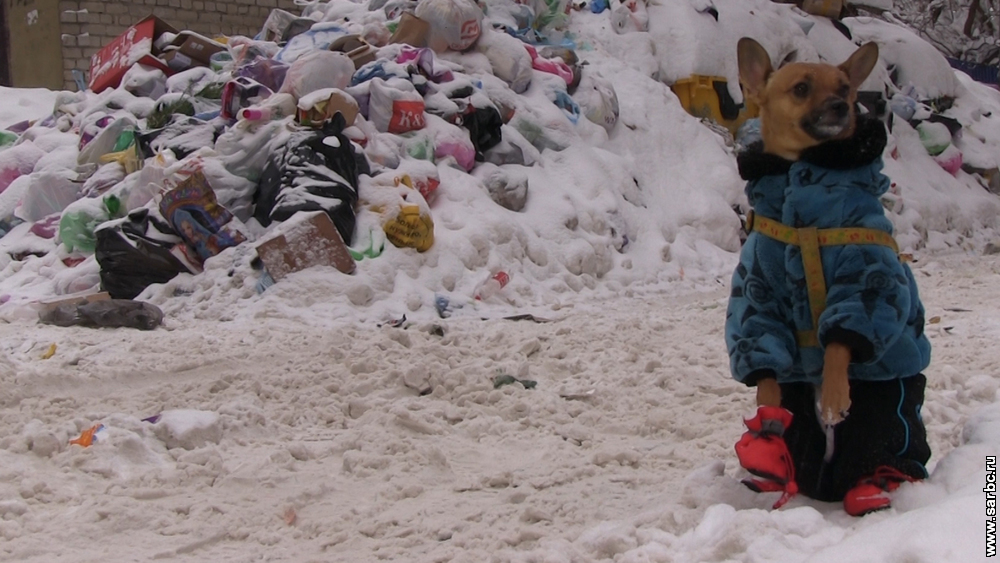 Город утопает в мусоре из-за неубранного снега. Видео