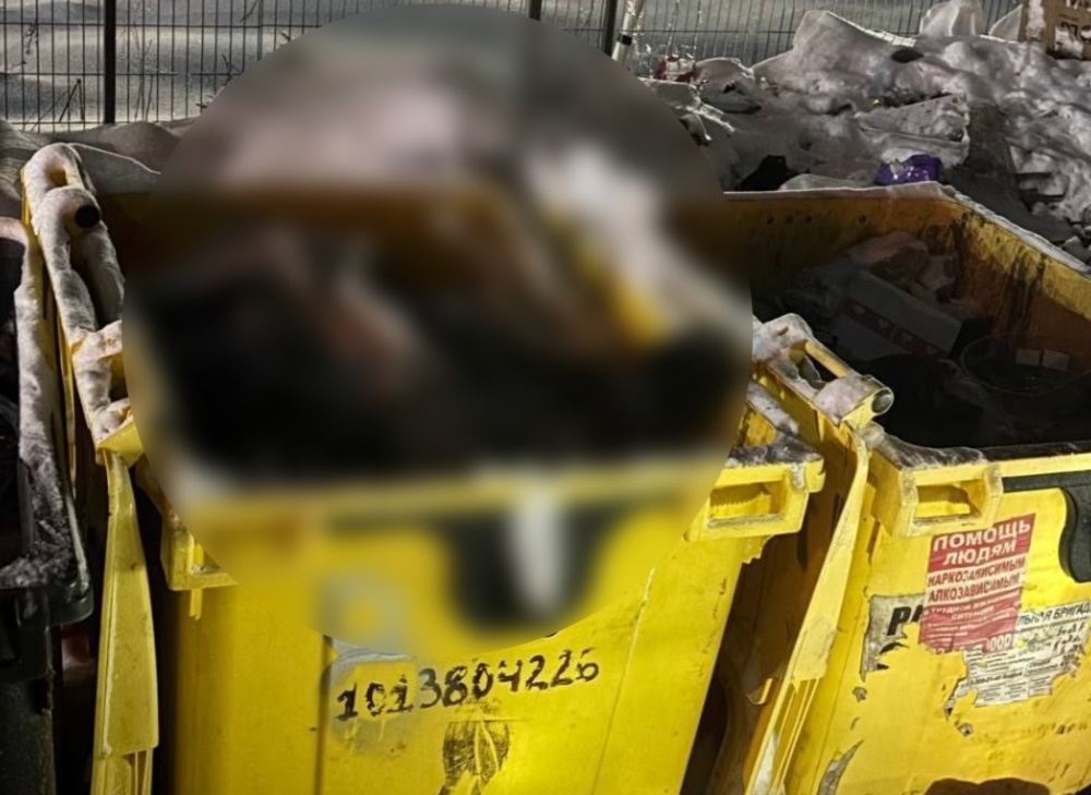 В мусорный бак выбросили мёртвую собаку