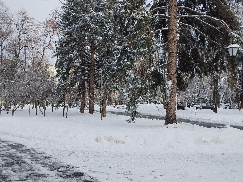 Рождественский день в Саратове будет слабоморозным