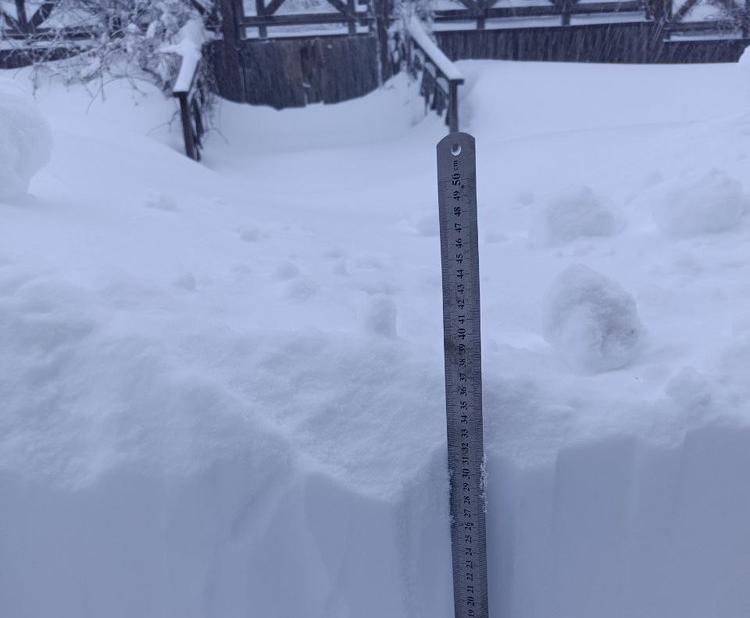 Погода в области: сильные снегопады, ветер и похолодание