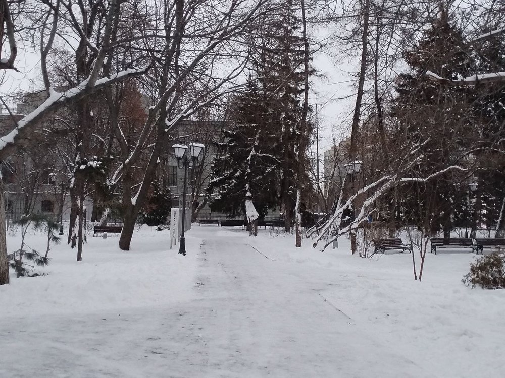 В Саратове похолодает, ночью пойдёт снег