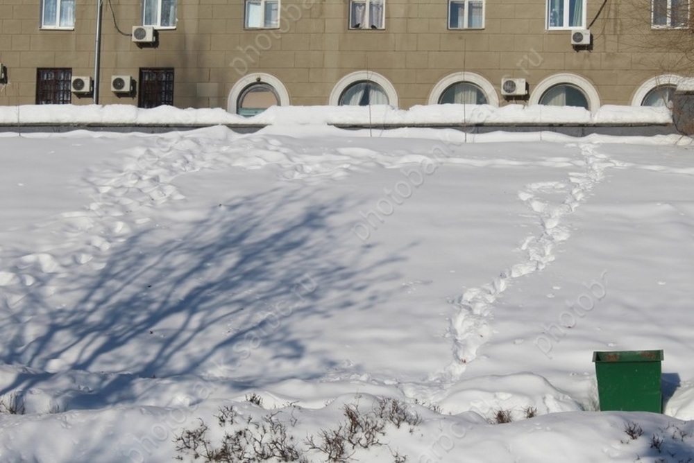 Мороз в субботу не уйдет на выходной и будет усиливаться