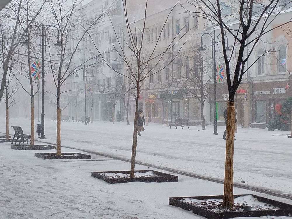 В регионе ожидается метель и сильный ветер