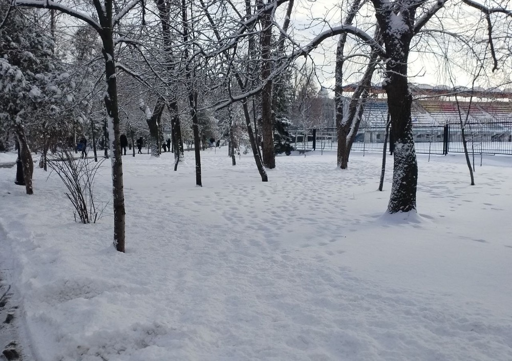 В воскресенье в городе ожидают морозный и пасмурный день
