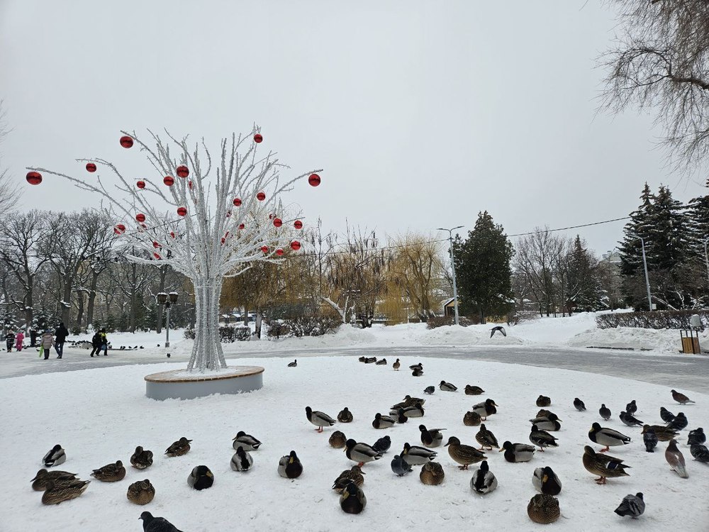 Воскресенье в Саратове будет снежным