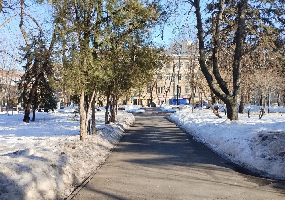 В Международный женский день в городе выглянет солнце перед снегопадом