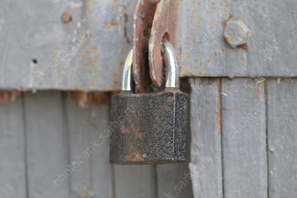 Володин отреагировал на закрытие двух птицефабрик