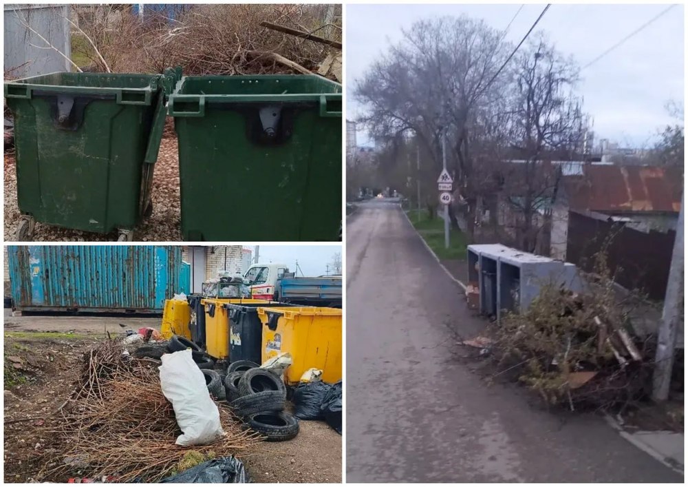 Регоператор: на мусорки стали чаще выбрасывать ветки и покрышки