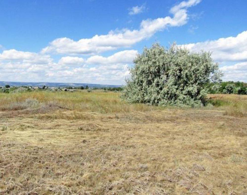 Времена. Завершена первая русская кругосветка, в области нашли новые памятники археологии