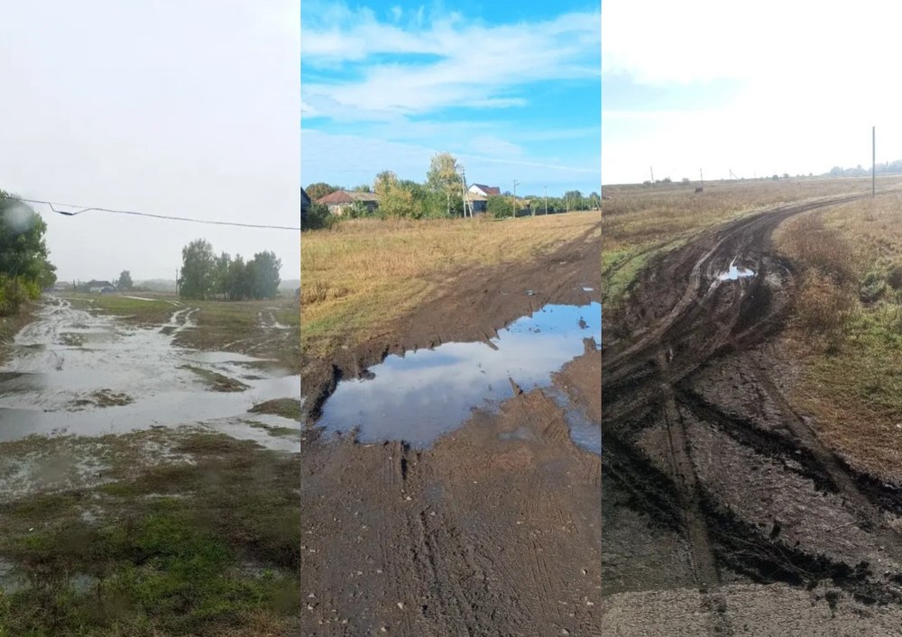 Властям напомнили об организации подъезда к мусоркам