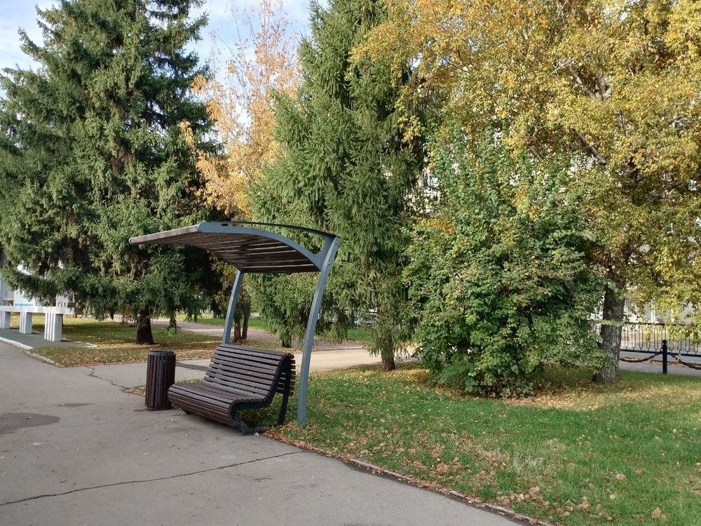 Погода в выходные: тепло и небольшой дождь