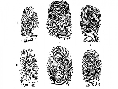 СМИ: Отпечатки пальцев на шенген начнут снимать с 2015 года 