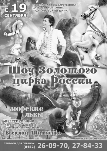 Открытие 143-го сезона в саратовском цирке. Морские сивучи станцевали брейк-данс и рок-н рол