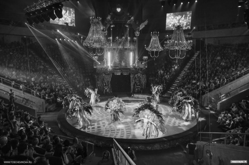 Гия Эрадзе о новой программе "Королевского цирка" : "Такого спектакля Саратов еще не видел"